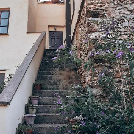 Le Petit Chateau Vezzi Portio