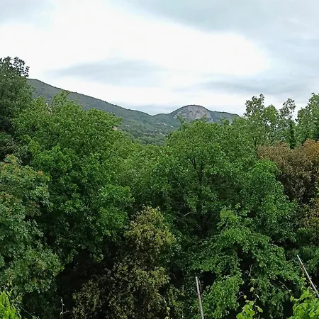 Le Petit Chateau * Vezzi Portio