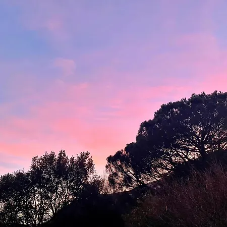 Le Petit Chateau * Vezzi Portio