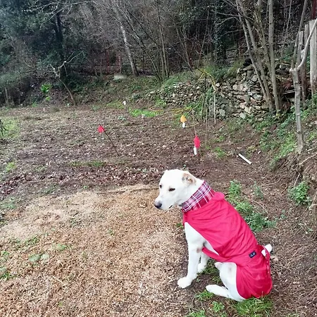 Gospodarstwo agroturystyczne Le Petit Chateau