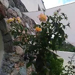 农家乐 Le Petit Chateau