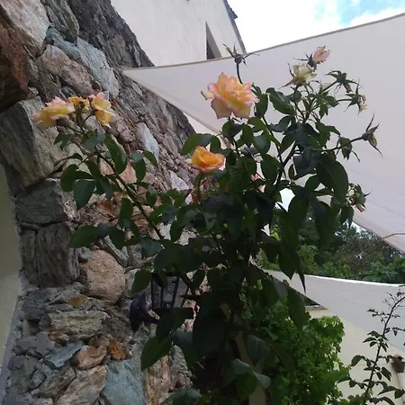 Le Petit Chateau *
