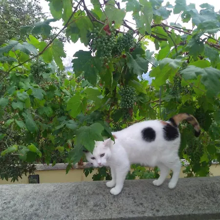 Alloggio per agriturismo Le Petit Chateau *