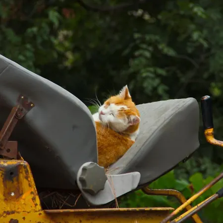 Le Petit Chateau * Vezzi Portio