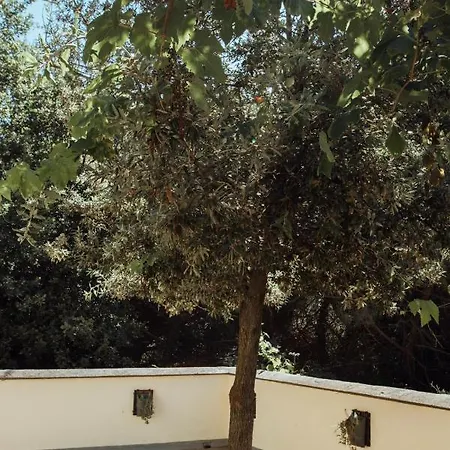 Le Petit Chateau * Vezzi Portio