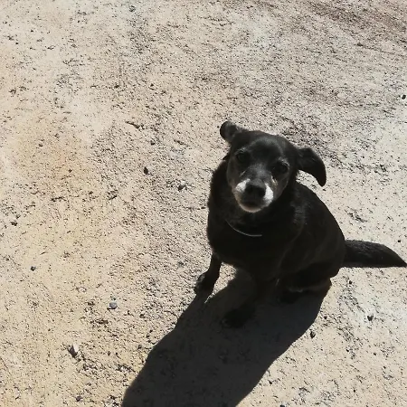 Le Petit Chateau Bauernhof *