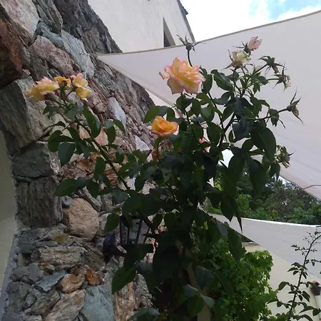 Alloggio per agriturismo Le Petit Chateau