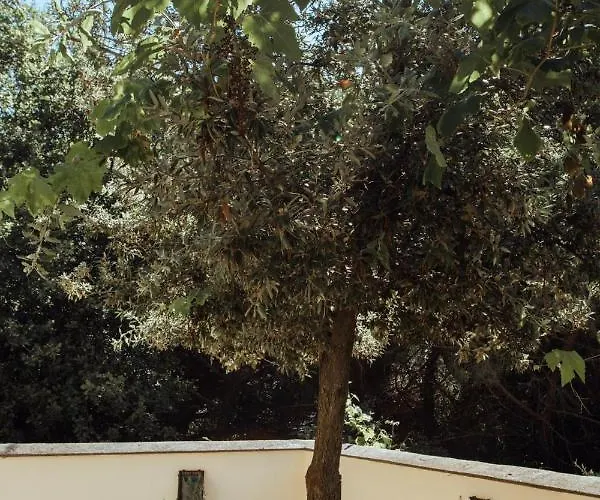 Le Petit Chateau * Vezzi Portio