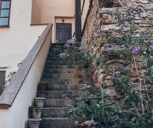 Le Petit Chateau Vezzi Portio