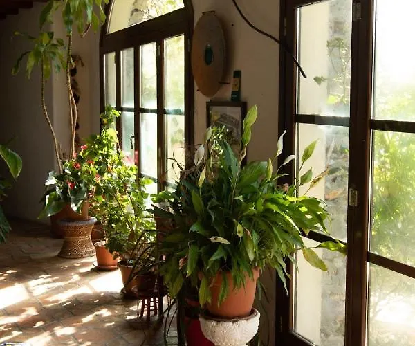 Le Petit Chateau * Vezzi Portio