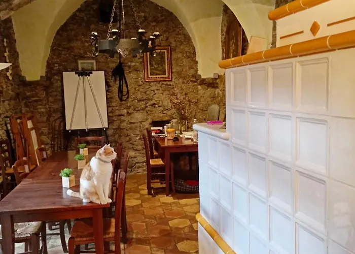 Le Petit Chateau Agroturismo Vezzi Portio