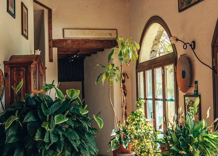 Le Petit Chateau Agroturismo *