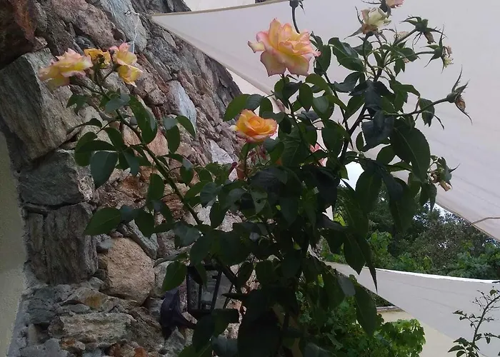 Agroturismo Le Petit Chateau